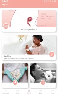 My Pregnancy Journey android App screenshot 9